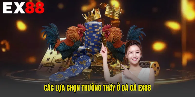 Các lựa chọn thường thấy ở Đá gà EX88
